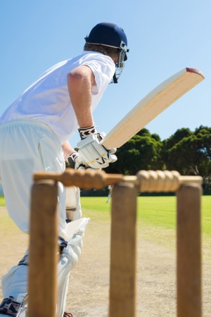 Cricket